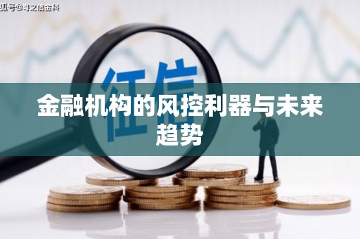 双牌金融机构的风控利器与未来趋势