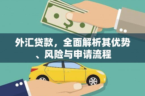 双牌外汇贷款，全面解析其优势、风险与申请流程