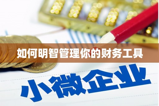 双牌如何明智管理你的财务工具