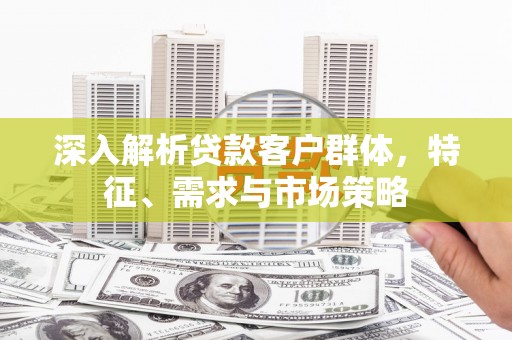 双牌深入解析贷款客户群体，特征、需求与市场策略