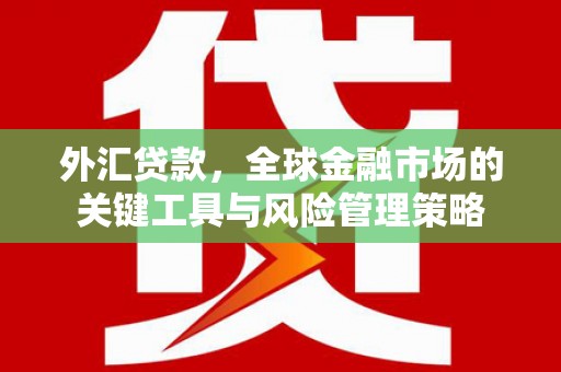 双牌外汇贷款，全球金融市场的关键工具与风险管理策略