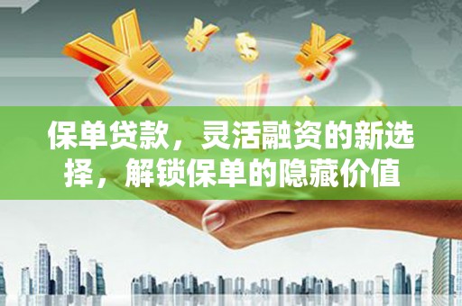 双牌保单贷款，灵活融资的新选择，解锁保单的隐藏价值