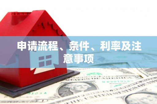 双牌申请流程、条件、利率及注意事项