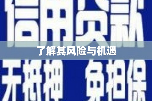 双牌了解其风险与机遇