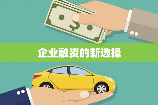 双牌企业融资的新选择