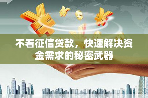 双牌不看征信贷款，快速解决资金需求的秘密武器