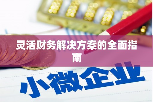 双牌灵活财务解决方案的全面指南