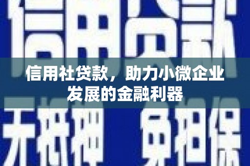 双牌信用社贷款，助力小微企业发展的金融利器