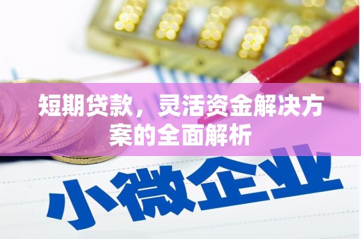 双牌短期贷款，灵活资金解决方案的全面解析