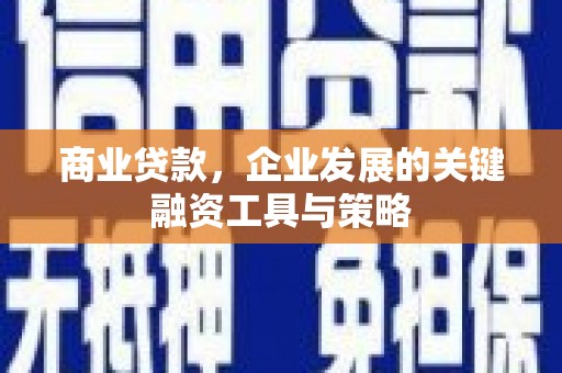 双牌商业贷款，企业发展的关键融资工具与策略