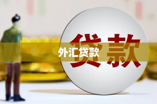 双牌外汇贷款
