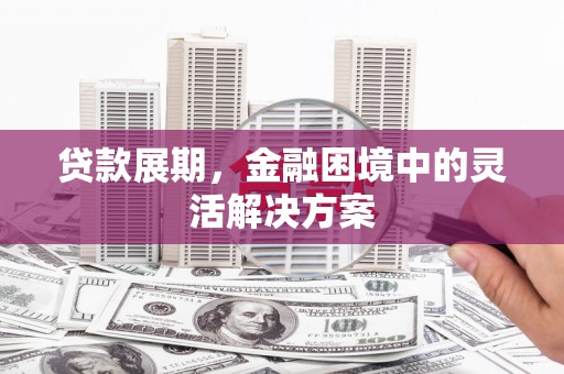 双牌贷款展期，金融困境中的灵活解决方案