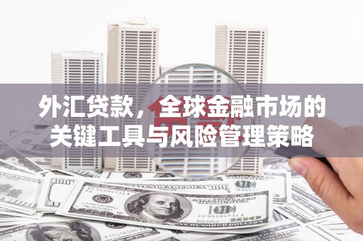 双牌外汇贷款，全球金融市场的关键工具与风险管理策略
