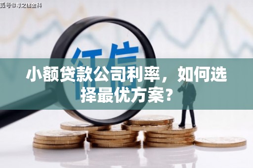双牌小额贷款公司利率，如何选择最优方案？