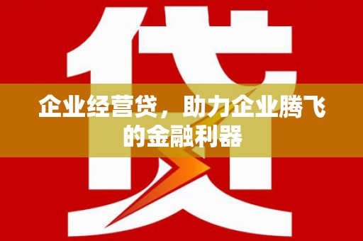双牌企业经营贷，助力企业腾飞的金融利器