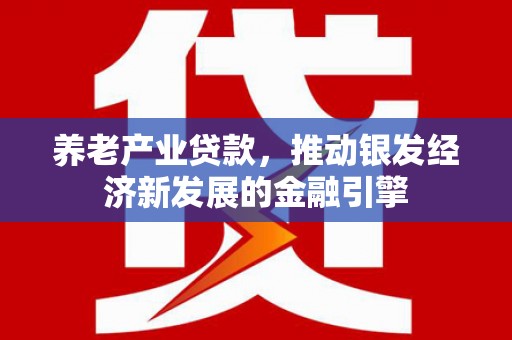 双牌养老产业贷款，推动银发经济新发展的金融引擎