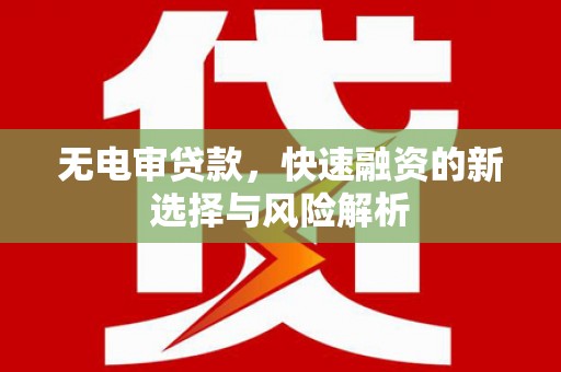 双牌无电审贷款，快速融资的新选择与风险解析