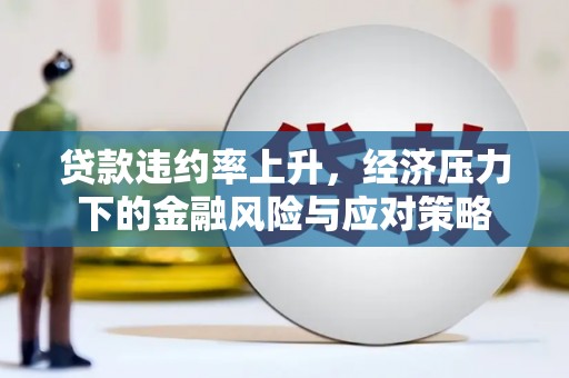 双牌贷款违约率上升，经济压力下的金融风险与应对策略