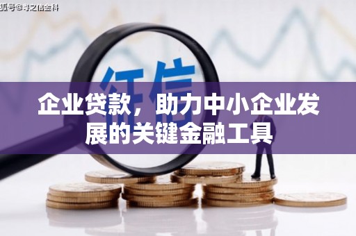 双牌企业贷款，助力中小企业发展的关键金融工具