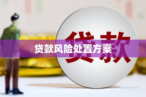 双牌贷款风险处置方案