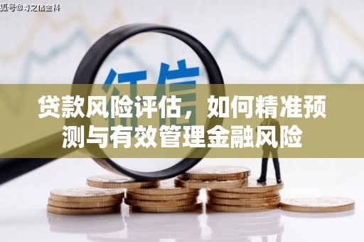 双牌贷款风险评估，如何精准预测与有效管理金融风险