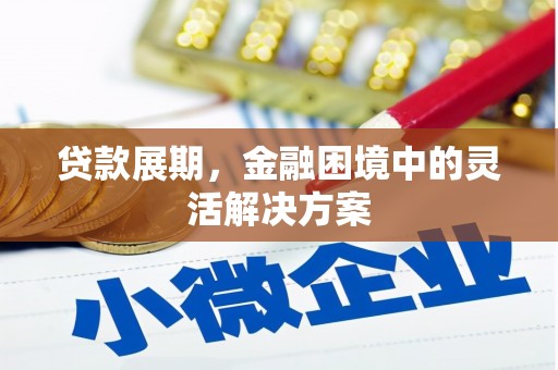 双牌贷款展期，金融困境中的灵活解决方案