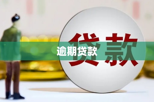 双牌逾期贷款