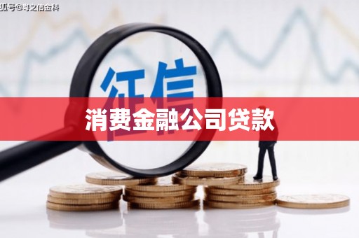 双牌消费金融公司贷款