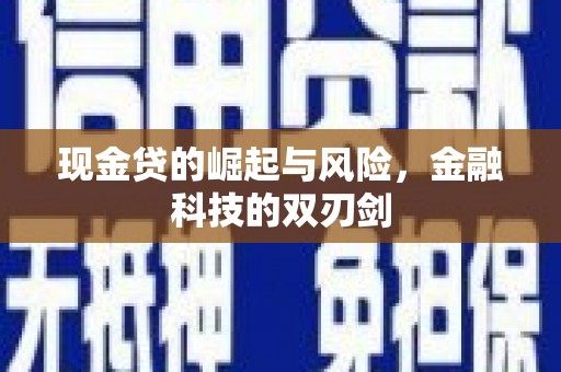 双牌现金贷的崛起与风险，金融科技的双刃剑