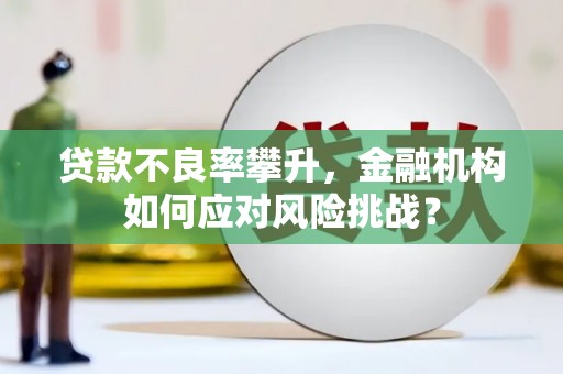 双牌贷款不良率攀升，金融机构如何应对风险挑战？