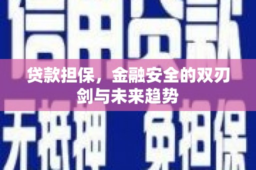 双牌贷款担保，金融安全的双刃剑与未来趋势