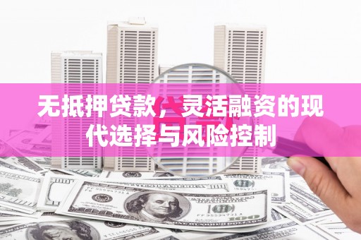 双牌无抵押贷款，灵活融资的现代选择与风险控制