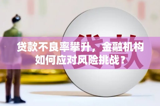 双牌贷款不良率攀升，金融机构如何应对风险挑战？