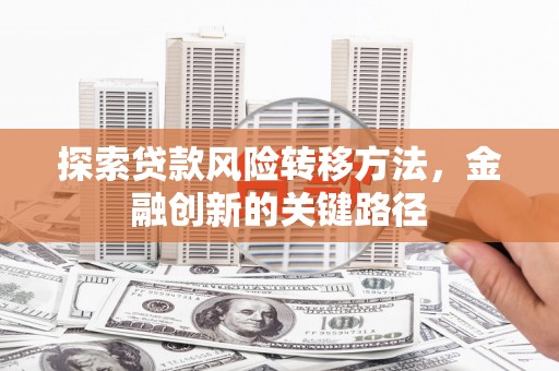 双牌探索贷款风险转移方法，金融创新的关键路径