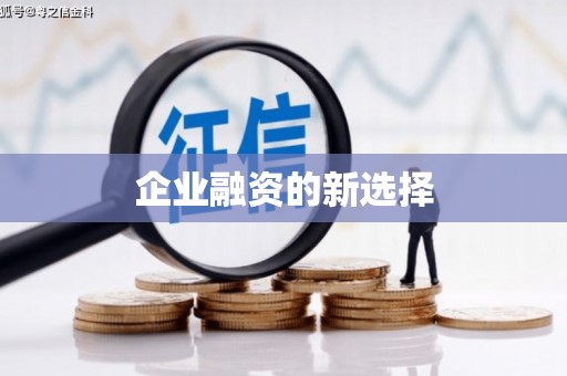 双牌企业融资的新选择