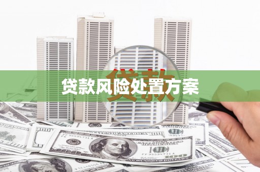 双牌贷款风险处置方案