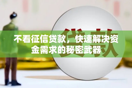 双牌不看征信贷款，快速解决资金需求的秘密武器
