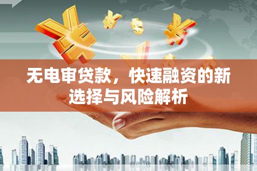 双牌无电审贷款，快速融资的新选择与风险解析