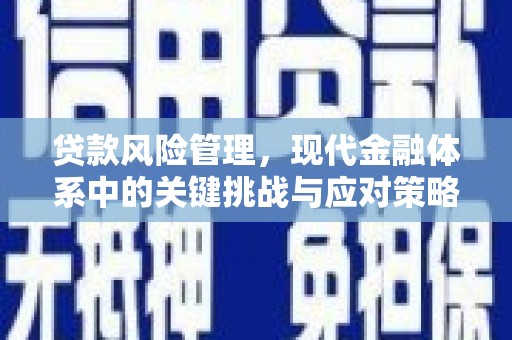双牌贷款风险管理，现代金融体系中的关键挑战与应对策略