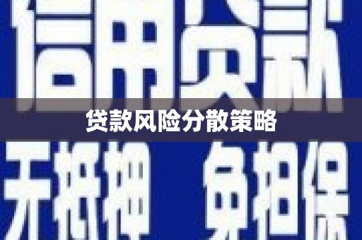 双牌贷款风险分散策略