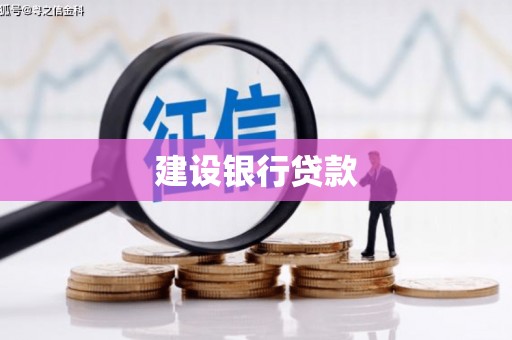 双牌建设银行贷款