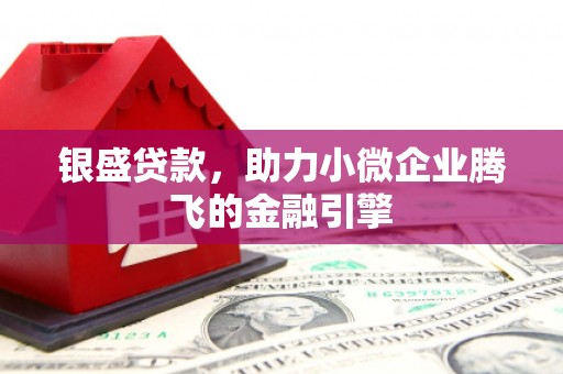 双牌银盛贷款，助力小微企业腾飞的金融引擎