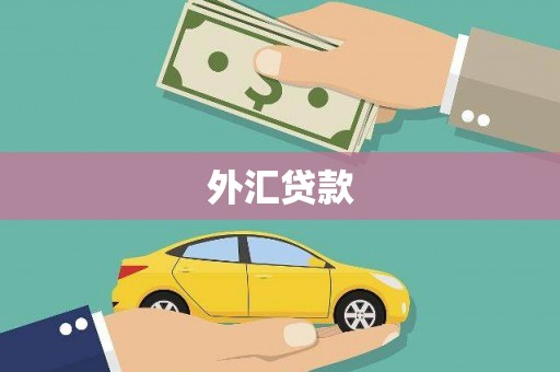 双牌外汇贷款