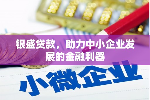 双牌银盛贷款，助力中小企业发展的金融利器