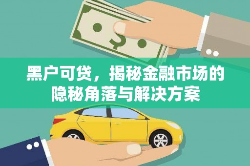 双牌黑户可贷，揭秘金融市场的隐秘角落与解决方案