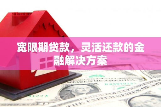 双牌宽限期贷款，灵活还款的金融解决方案