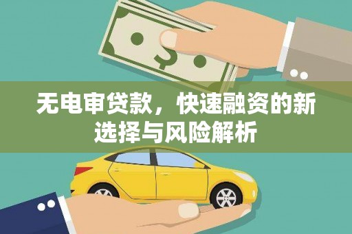 双牌无电审贷款，快速融资的新选择与风险解析