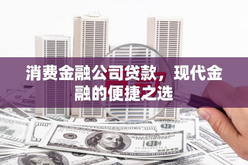 双牌消费金融公司贷款，现代金融的便捷之选