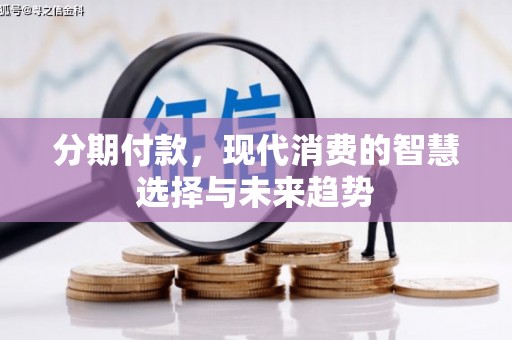 双牌分期付款，现代消费的智慧选择与未来趋势
