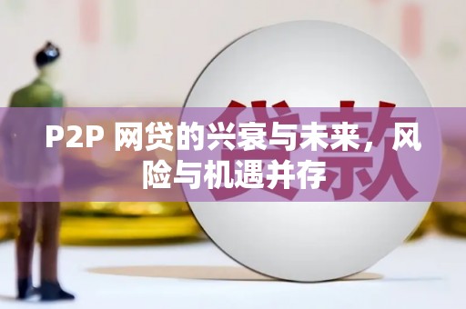 双牌P2P 网贷的兴衰与未来，风险与机遇并存
